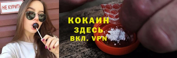 гидра Кукмор