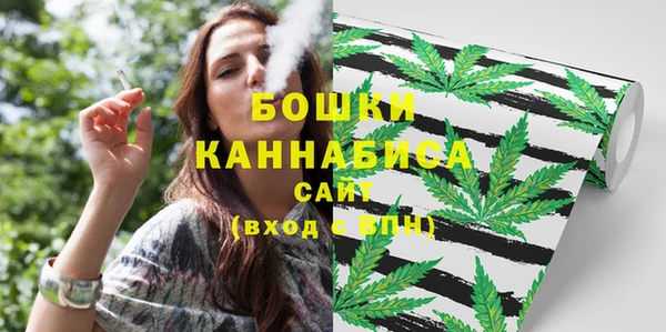 дживик Кулебаки