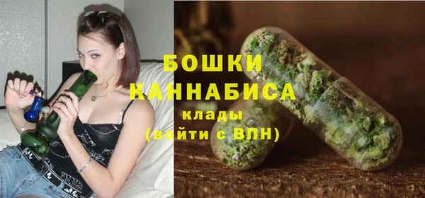 дживик Кулебаки