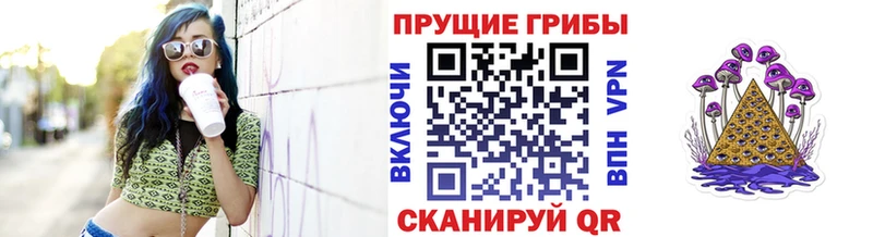 где можно купить   Майский  Псилоцибиновые грибы Psilocybine cubensis 